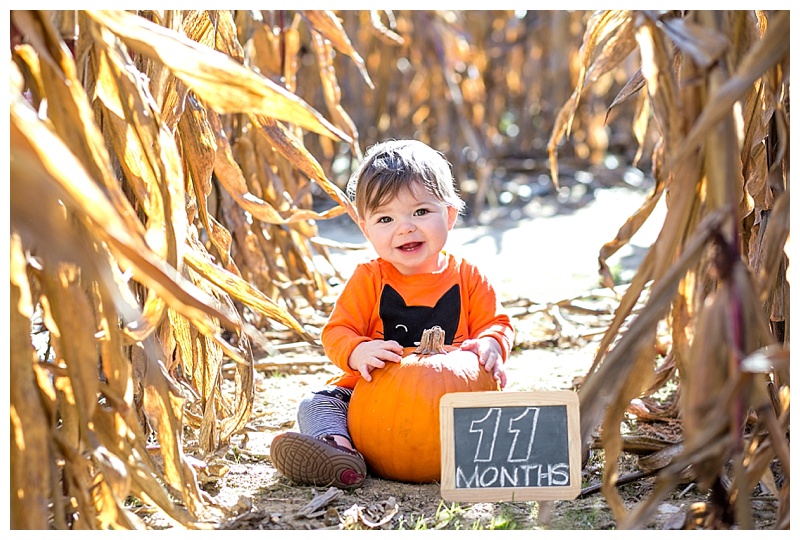 National Pumpkin Day