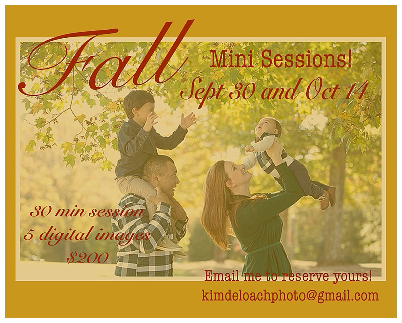 Fall Mini Sessions!